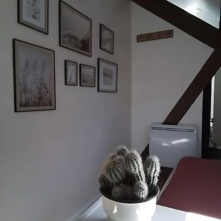 Charmante Petite Maison Ferienhaus *